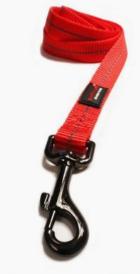 Dogs Life Webbing Leash Lrg
