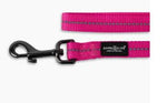 Dogs Life Webbing Leash Lrg