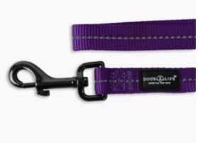 Dogs Life Webbing Leash Lrg