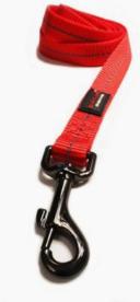 Dogs Life Webbing Leash Xl