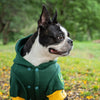 DOGS LIFE SPRINGBOKS HOODIE 3XL