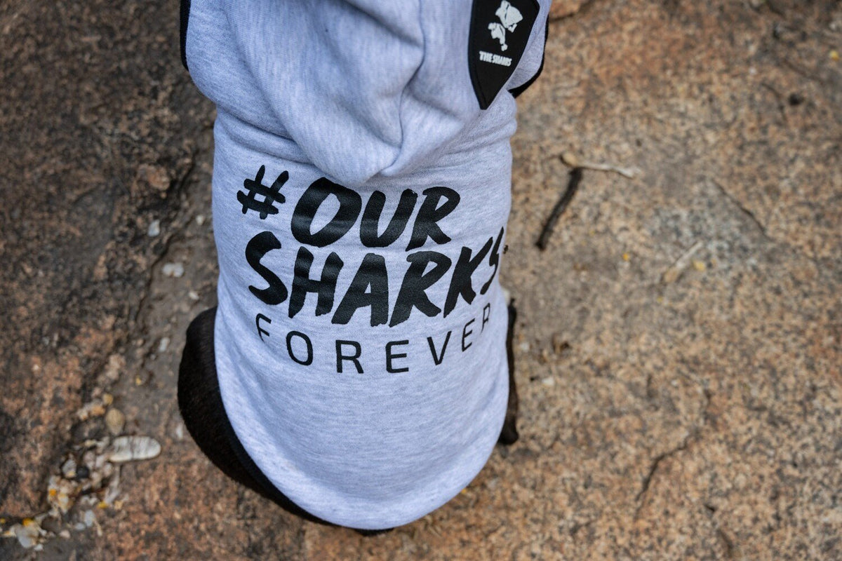 Dogs Life Sharks Rugby Hoodie Lrg