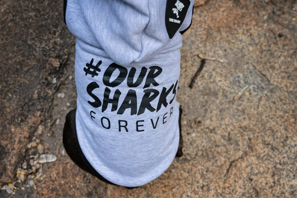 Dogs Life Sharks Rugby Hoodie Xl