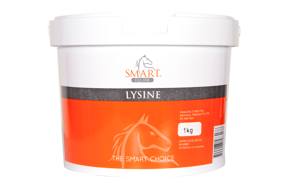 Smart Lysine