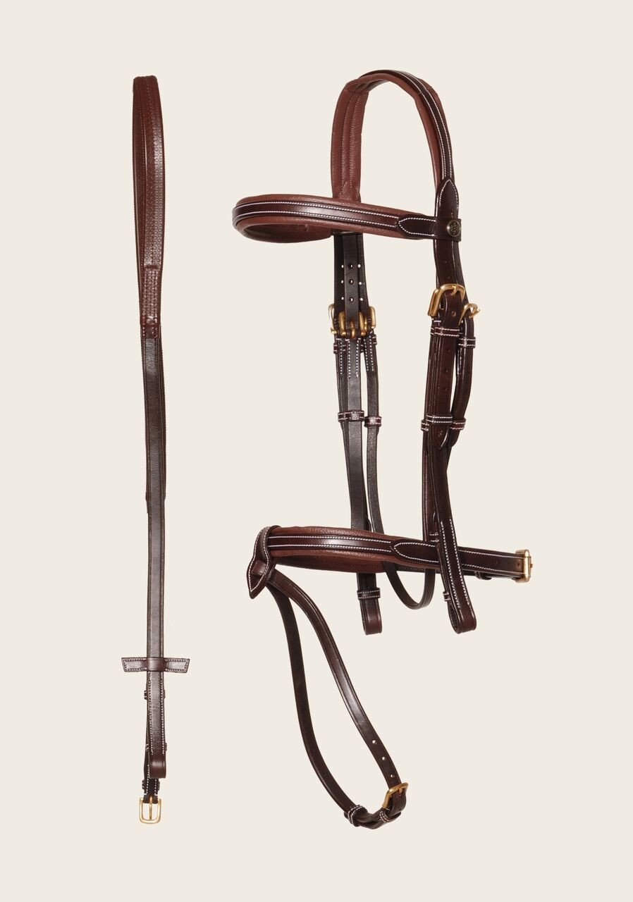 Espoir La Reine Bridle Brown