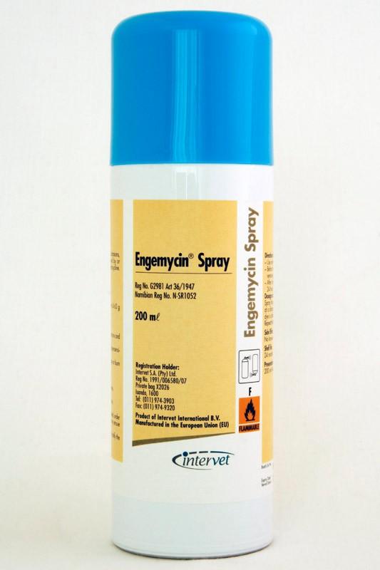 Engemycin 200Ml