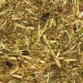 EQUI PASTURE PLUS PELLETS 40KG