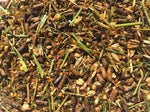 Equifeeds 15% Robertson Stud Meal