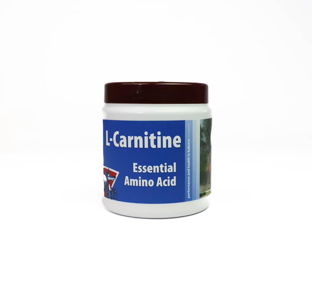 L-CARNITINE 250G