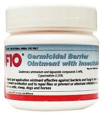 F10 Germicidal Oint With Insecticide 500G