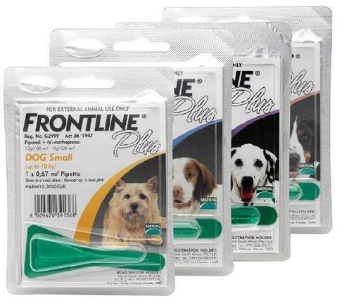 Frontline Plus Dog M Each