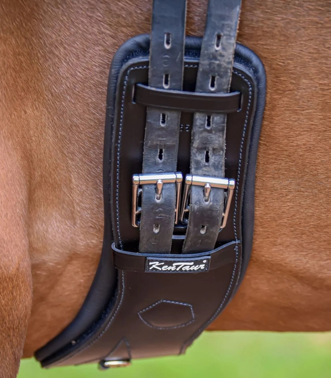 Black Geneva Dressage Girth