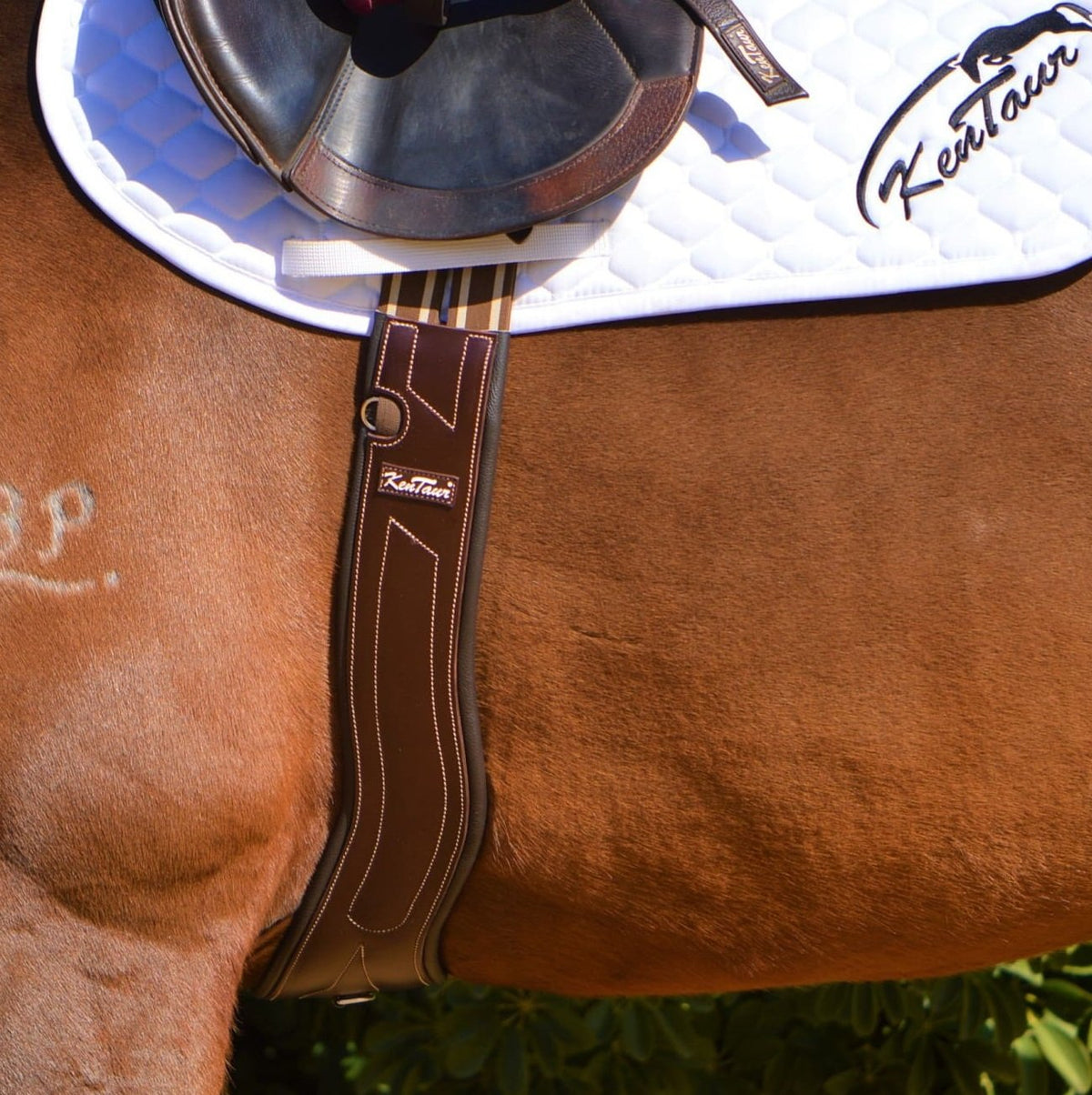Kentaur Dijon Shaped Girth