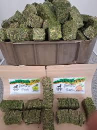 Greengold Healthy Treats