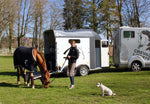 Cheval Liberte Gold 3