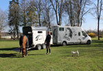 Cheval Liberte Gold 3