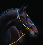 Pony Black Amigo Leather Headcollar