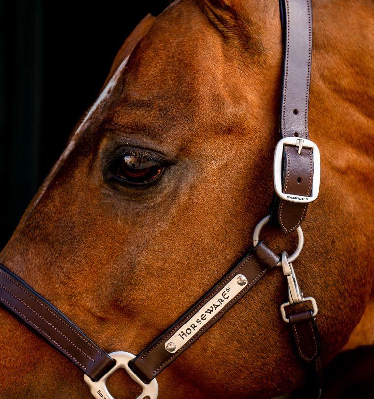 Horsewear Signature  Leather Headcollar Brown