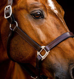 Horsewear Signature  Leather Headcollar Brown