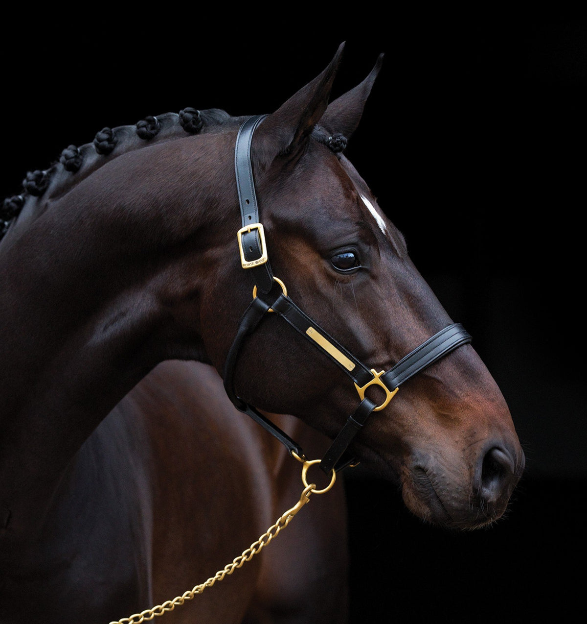 Hwi Signature Leather Headcollar Black