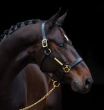 Hwi Signature Leather Headcollar Black