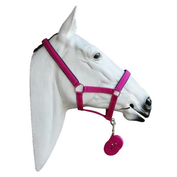 Orion Headcollar And Lead
