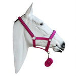 Orion Headcollar And Lead