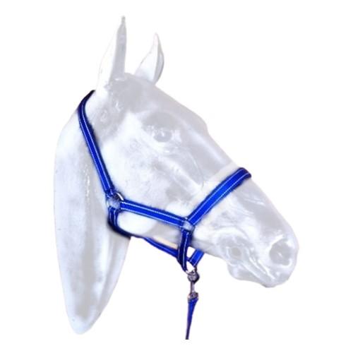 Orion Headcollar And Lead