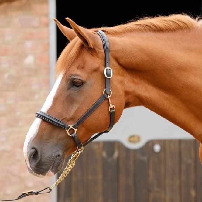 Tack 'n Togs at Midfeeds