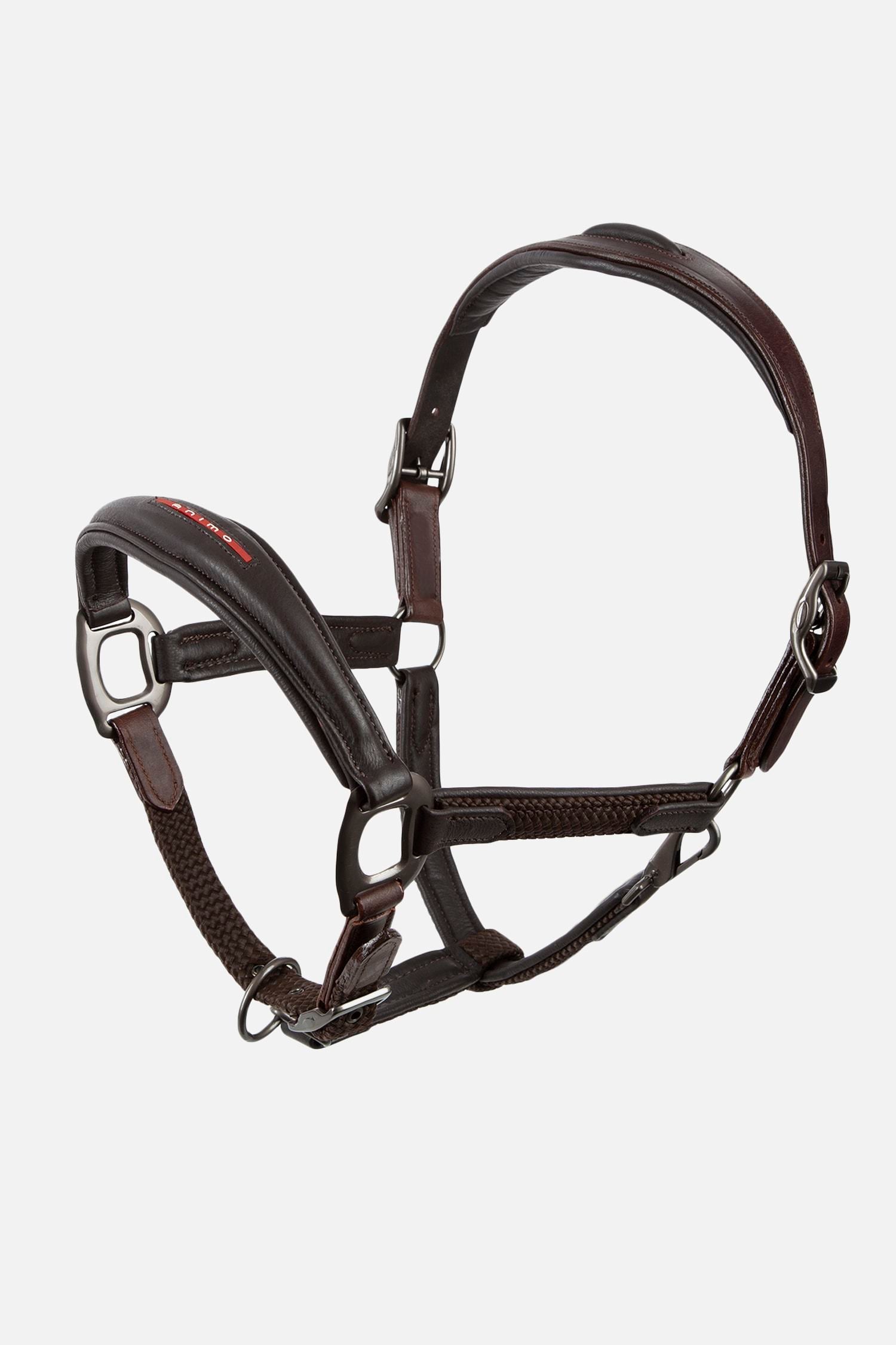 Tack 'n Togs at Midfeeds