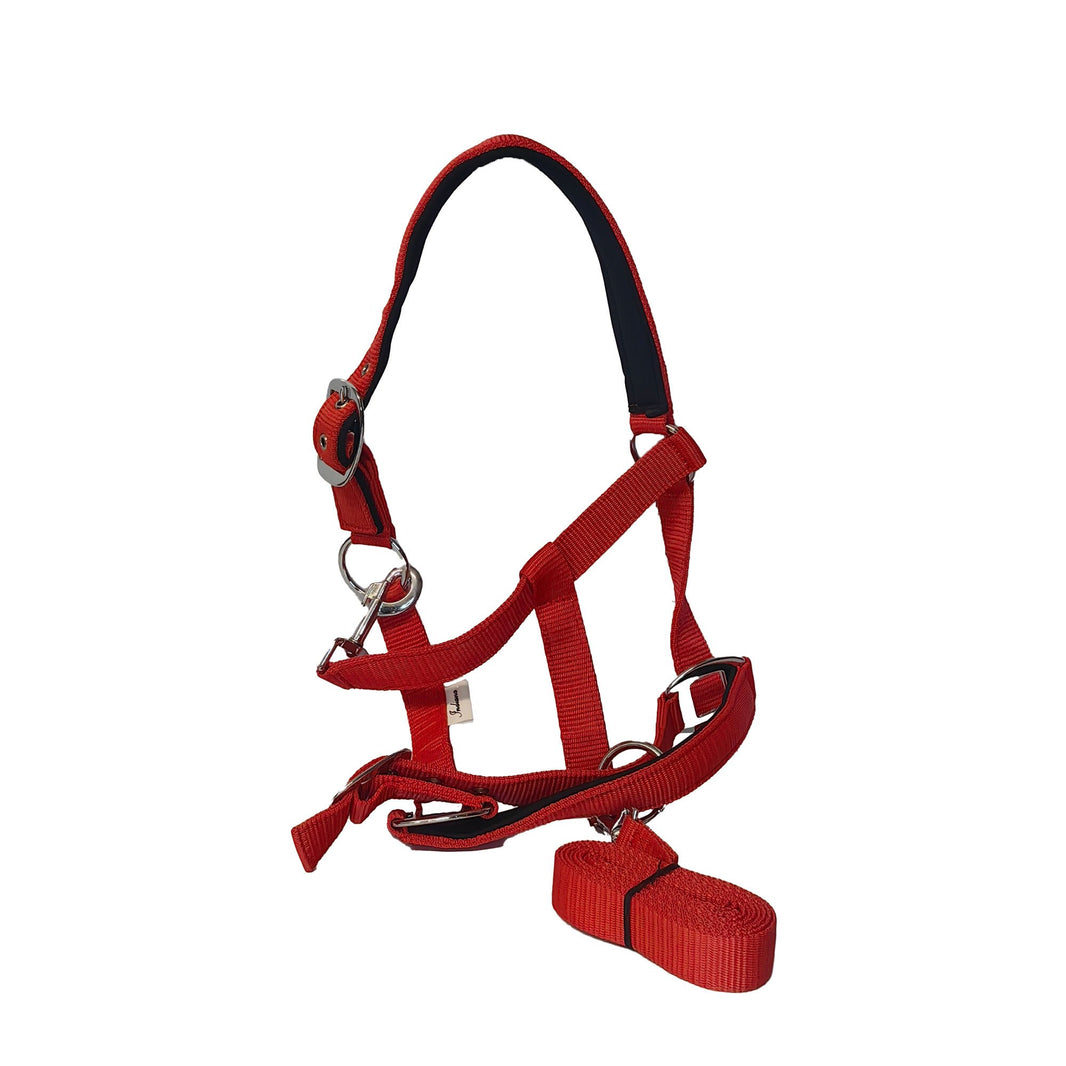 Halters Nylon Full