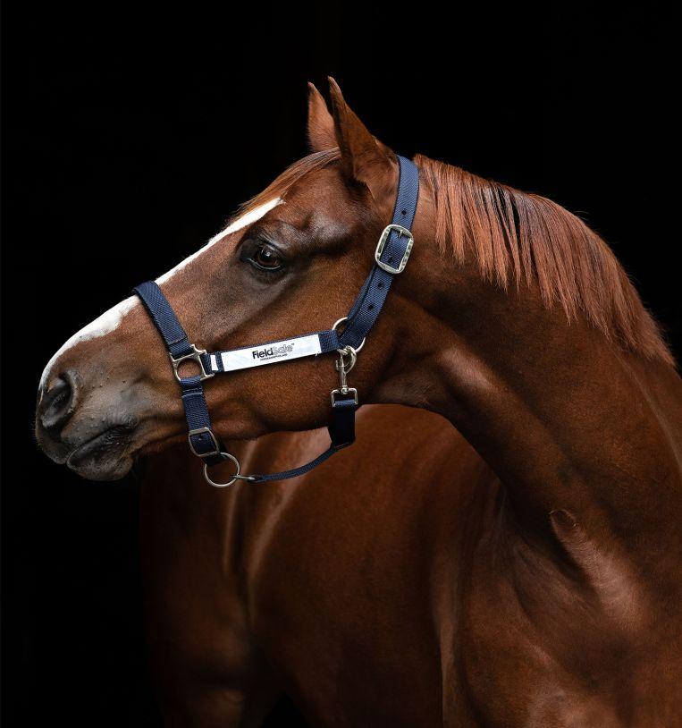 Hwi Fieldsafe Halter Navy