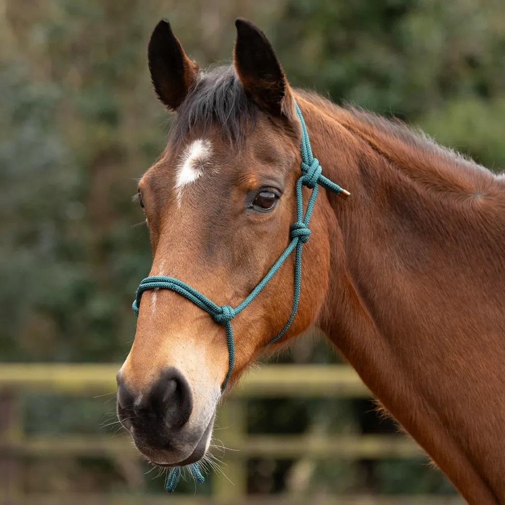 Hy Rope Halter