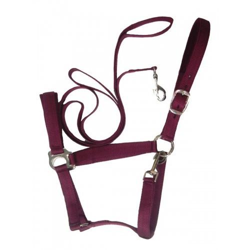 Soft Padded Web Halter