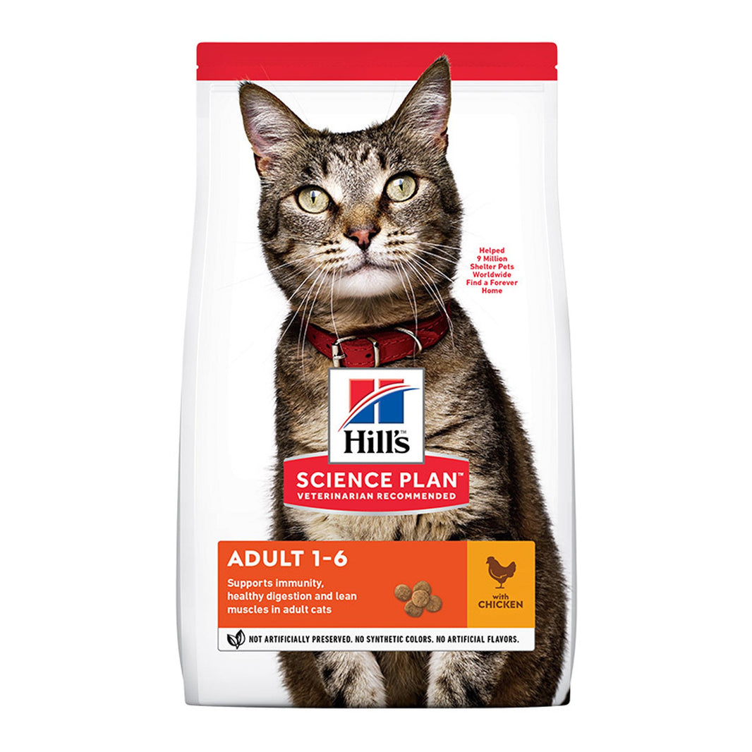 Hills Cat Cat Food 