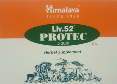 Himalaya Liv.52 Protec Liquid
