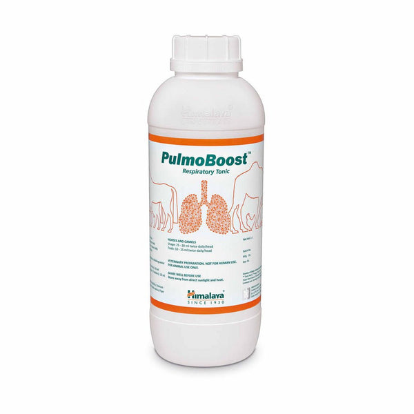 Himalaya Pulmoboost
