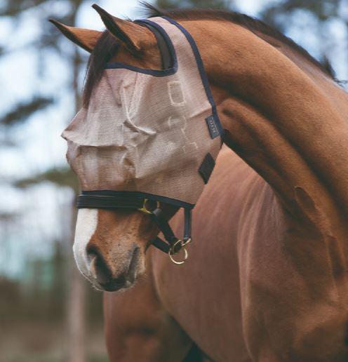 Tack 'n Togs at Midfeeds