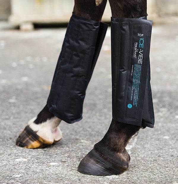 Ice Vibe Refill Cold Pack Pair