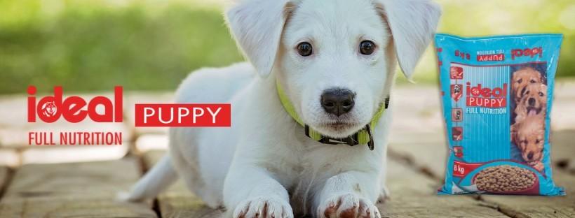 Ideal Dog Puppy 8kg