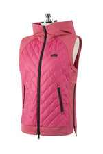 Animo Lookout Gilet Begonia