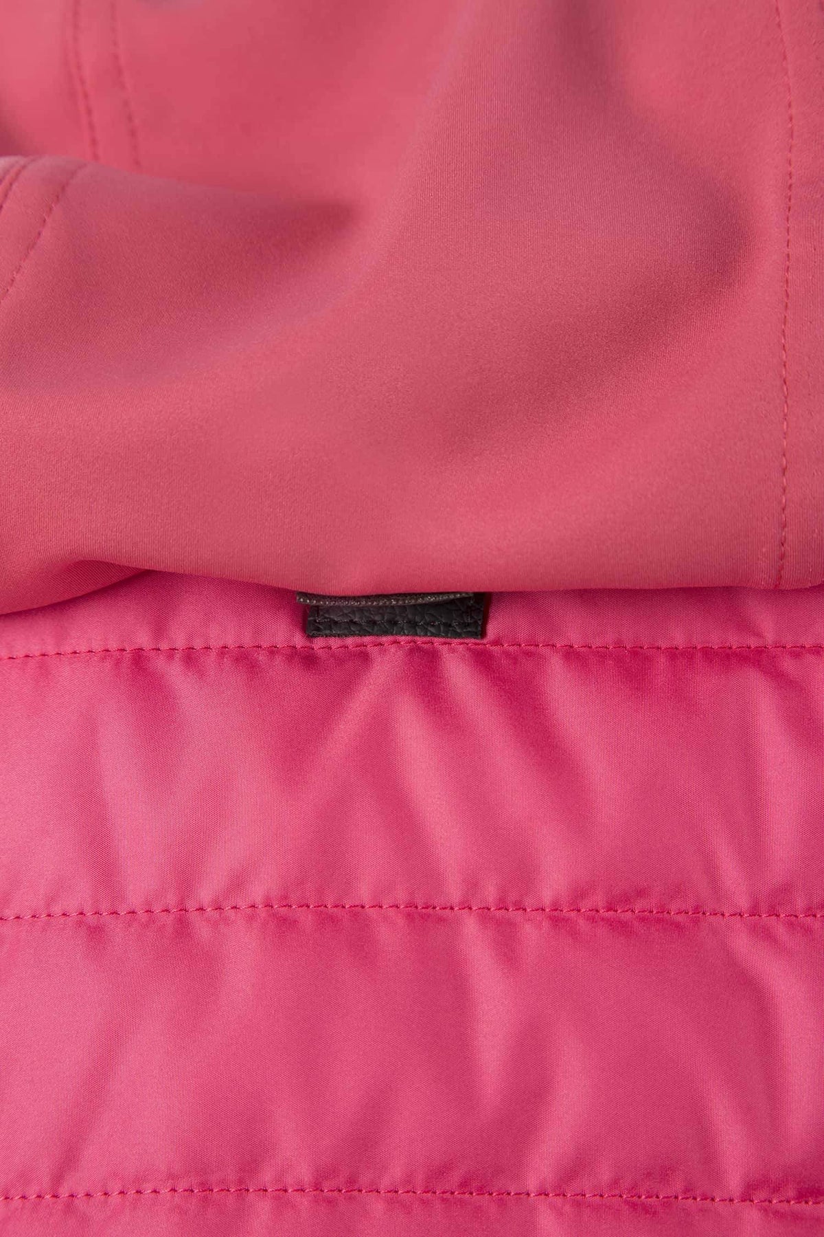 Animo Lookout Gilet Begonia