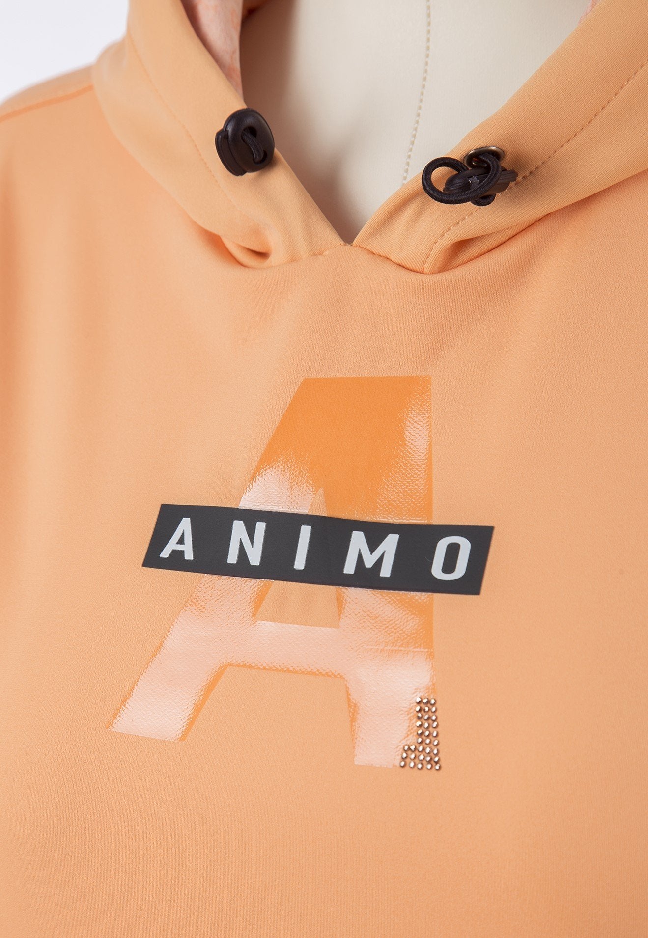 Animo Lucre Sweatshirt June