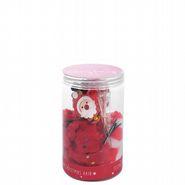 Christams Hair Acc Jar