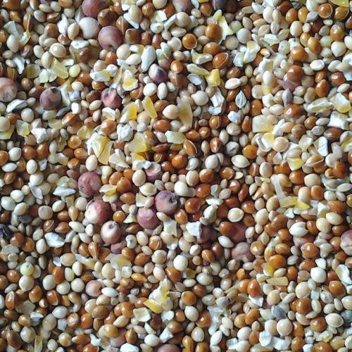 FINCH MIX 5KG