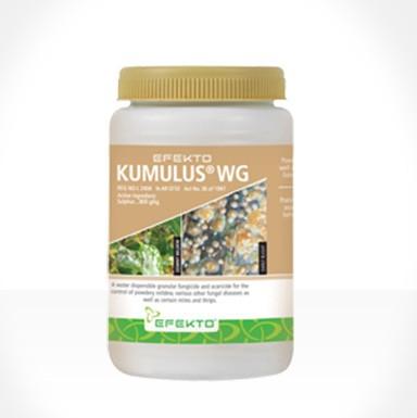 Kumulus Wg 250G