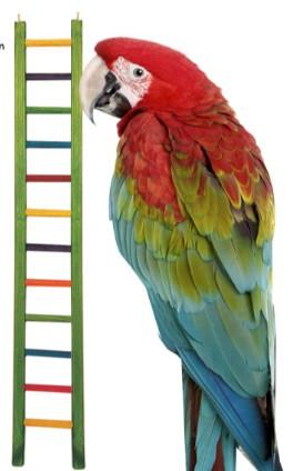 WOODEN BIRD LADDER WITH 13 STEPS