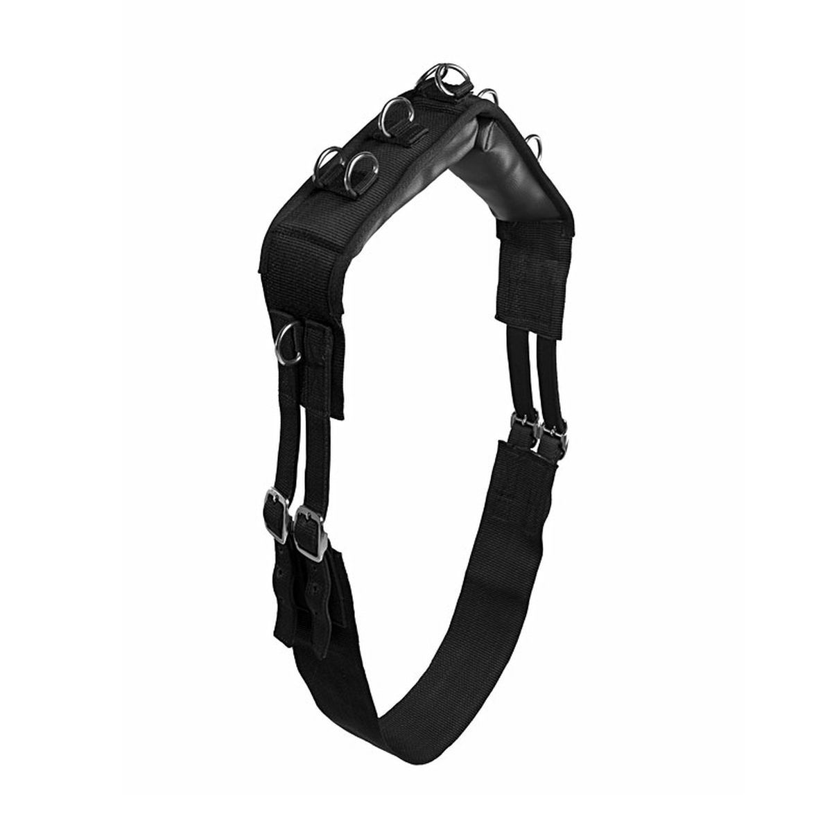 Lunge Roller Full Black