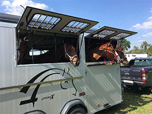 Cheval Liberte Maxi 4