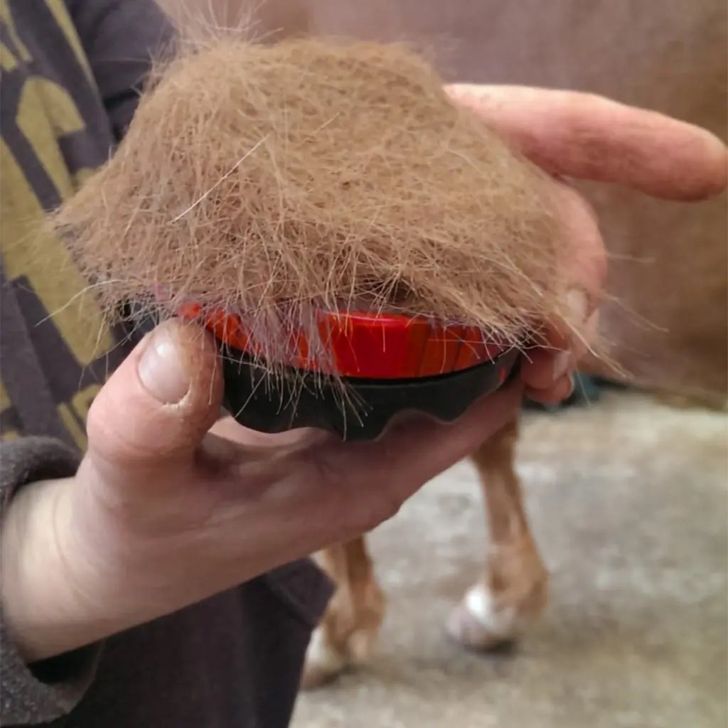 Solo Brush